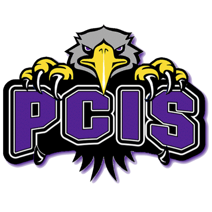 PCIS Logo